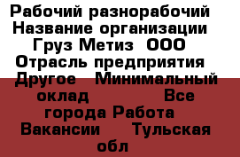 Рабочий-разнорабочий › Название организации ­ Груз-Метиз, ООО › Отрасль предприятия ­ Другое › Минимальный оклад ­ 25 000 - Все города Работа » Вакансии   . Тульская обл.